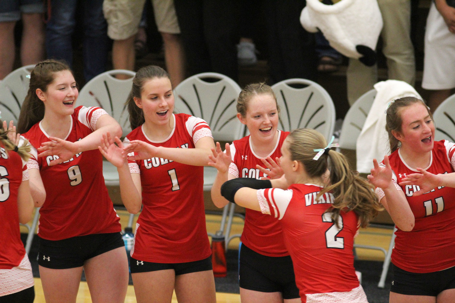Cameron at Colfax volleyball regionals 10-24-19